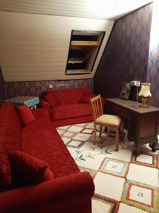 Why Not Apartment